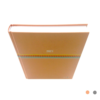 AGENDA SUPER SPORT A21 14X21 DIARIA LARANJA PASTEL 2021
