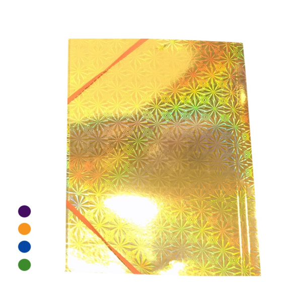 CAPA DE DOCUMENTO COM ELASTICO A4