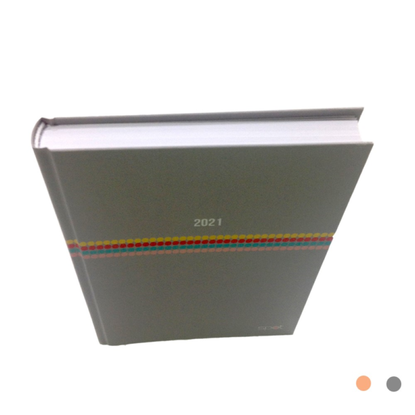 AGENDA SUPER SPORT A21 14X21 DIARIA CINZA PASTEL 2021