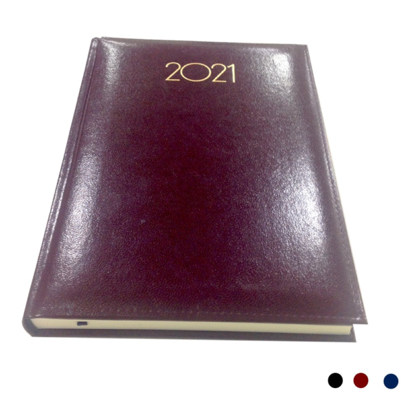 AGENDA CONDOR EXCEL A21 14X21 DIARIA  2021 BOARDEAUX