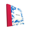 LIVRO DE PROTOCOLO 100FIS