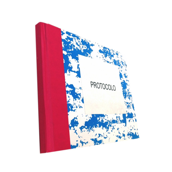 LIVRO DE PROTOCOLO 100FIS